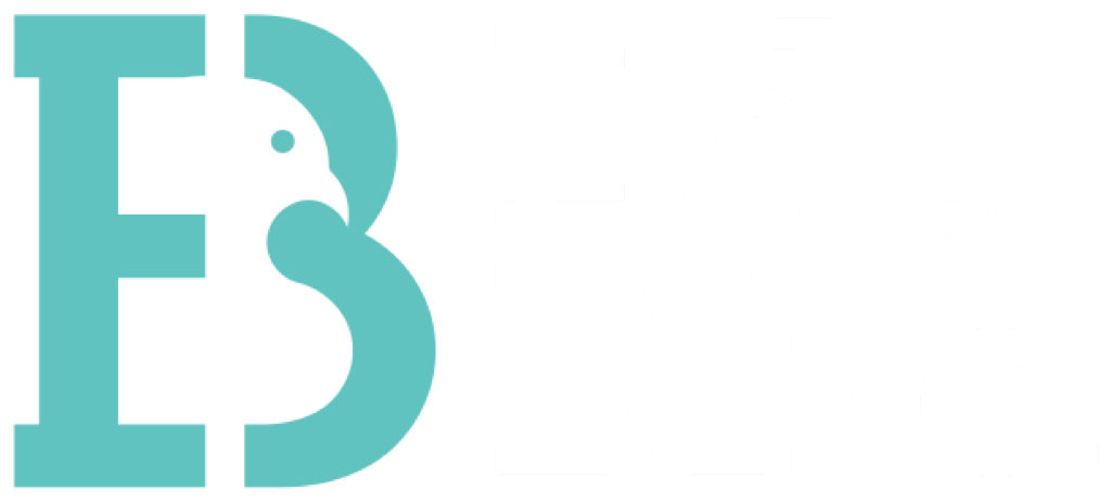 Edu Bird Study Abroad